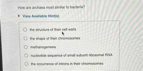 archaea are most similar to _____